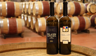 The Magic of Merlot Bianco: A Comparison of Two Wines